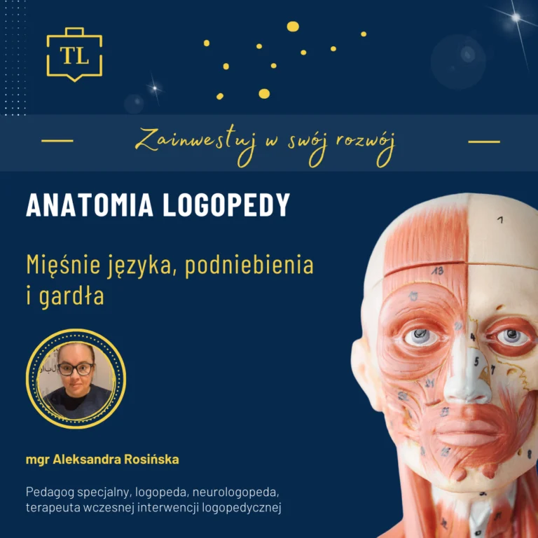 Anatomia-logopedy